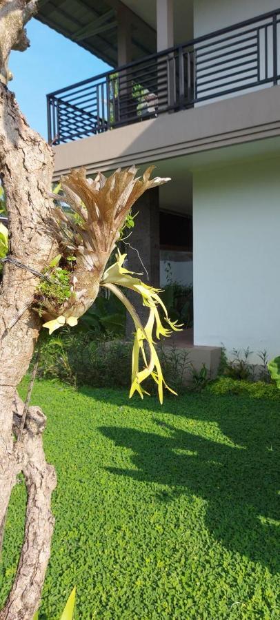 Indraprastha Cottage Ubud Ngoại thất bức ảnh